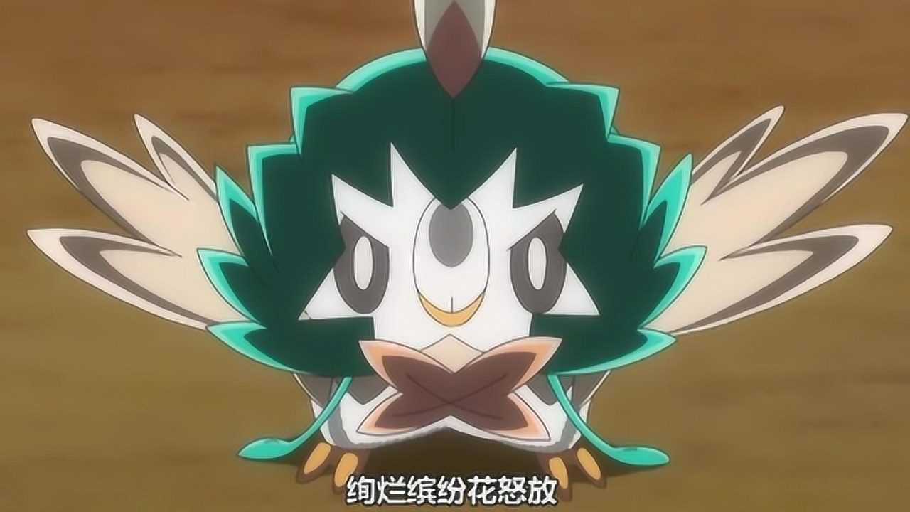闪光宝可梦?木木枭最强的z招式,艳阳怒放!