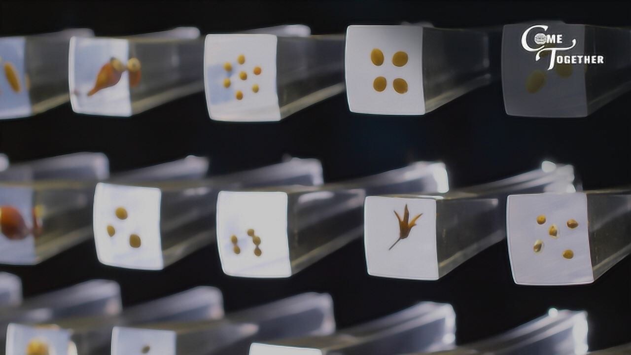 种子库:保护植物多样性_高清1080P在线观看平台_腾讯视频