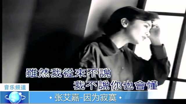 经典歌曲,张艾嘉《因为寂寞》歌词美妙声音动听,好听分享