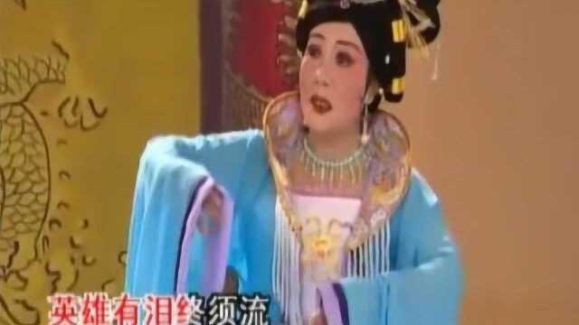 潮剧《假王真后》选段 愿结连理慰凄凉 许淑婉演唱