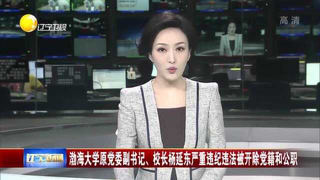 渤海大学杨延东严重违纪违法,被开除党籍和公职