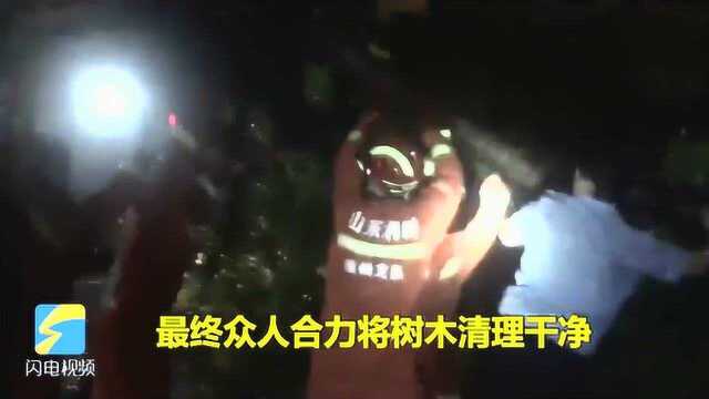 台风“利奇马”致庆云40余棵树木折断 他们连夜冒雨清理