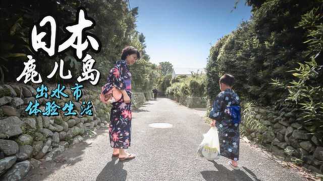 日本鹿儿岛出水市体验生活参加鹤翔祭庆典