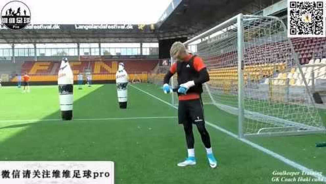 「维维足球Pro-守门」国外职业守门员训练视频_高清1080P在线观看平台_腾讯视频