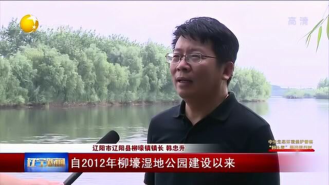 辽阳:落实河长制,治理水污染