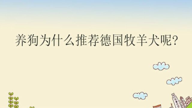 养狗为什么推荐德国牧羊犬呢?