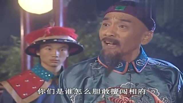 皇太子秘史四阿哥用索额图诬陷胤礽,结果却害了自己,真是活该