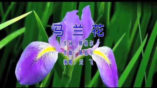 云飞演唱《马兰花》,草原歌曲,深情演绎,优美动听!