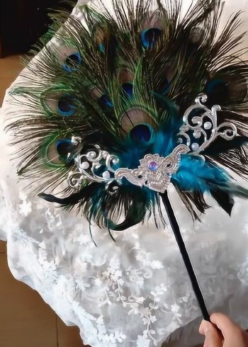 小巧玲珑的孔雀羽毛扇子,看见它,就想起了西游记中的孔雀公主!