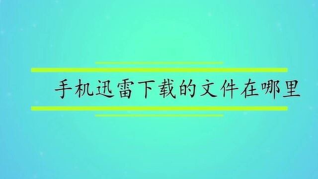 手机迅雷下载的文件在哪里