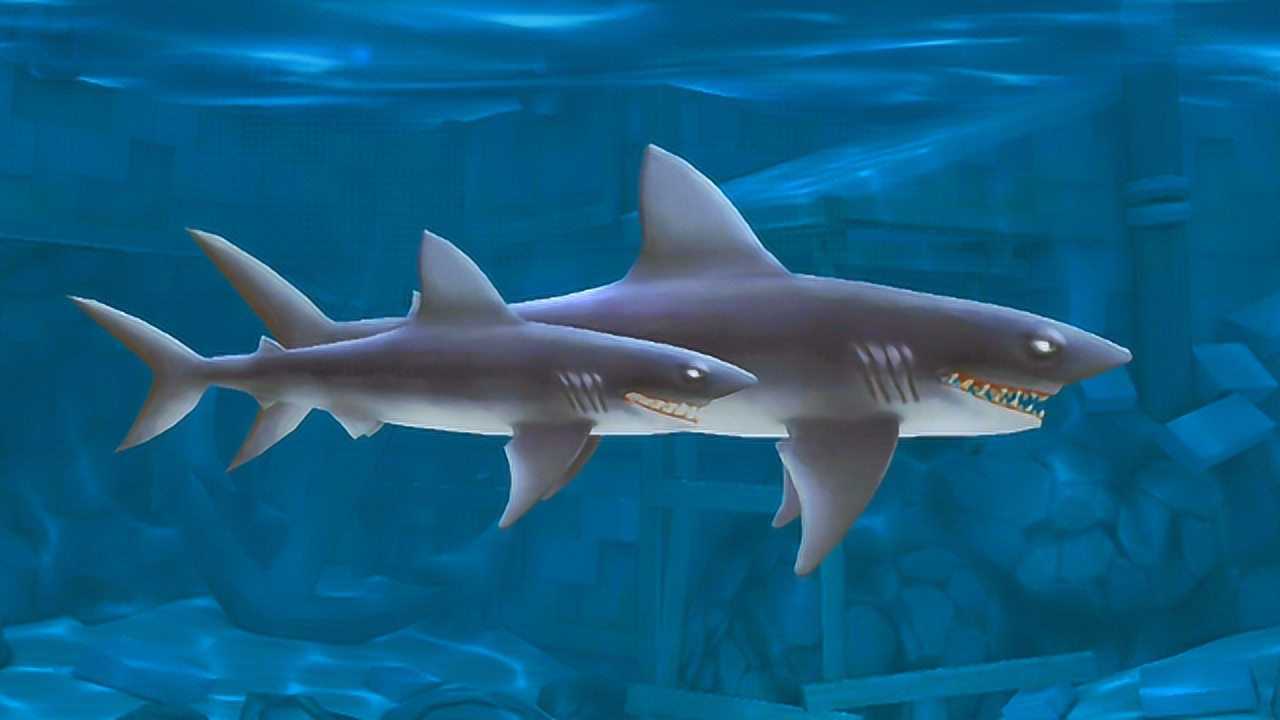 饥饿鲨进化:满级灰鲭鲨有了小跟班?