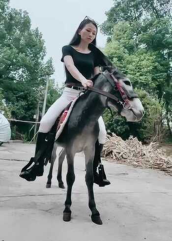 这美女可太虎了竟然还敢骑驴网友这头驴好像不太听话