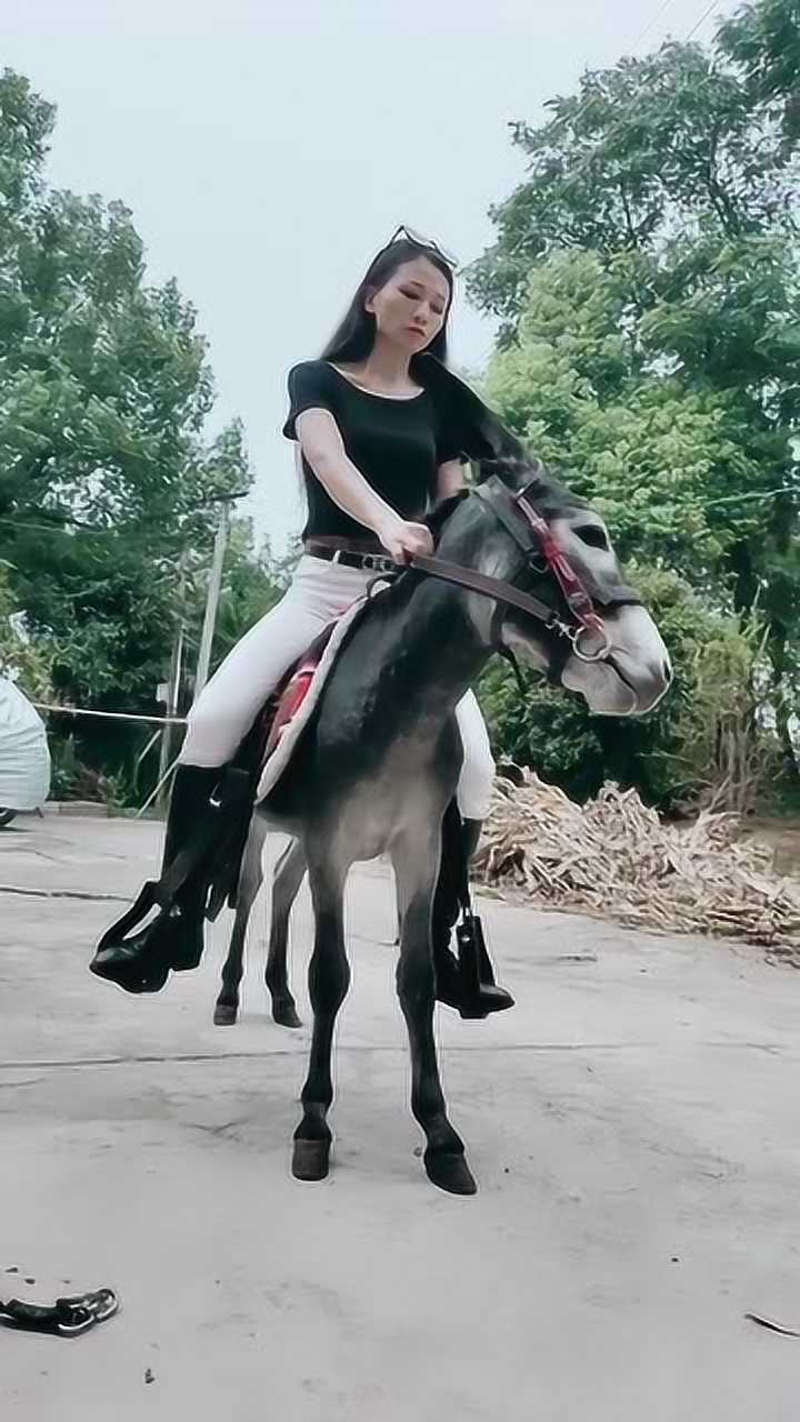 女性骑驴图片