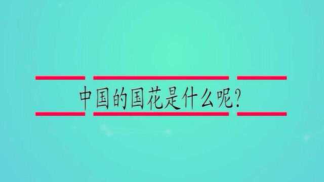 中国的国花是什么呢?