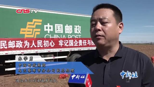 内蒙古开启助农新模式:邮政车开进田间农民“坐等收钱”