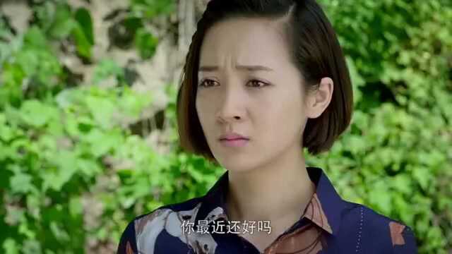 帅哥为了追美女,专门到种子公司当技术人员,名正言顺接近美女