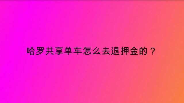 哈罗共享单车怎么去退押金的?