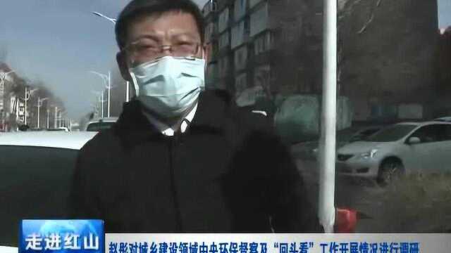 赵彤对城乡建设领域中央环保督察及“回头看”工作进行调研