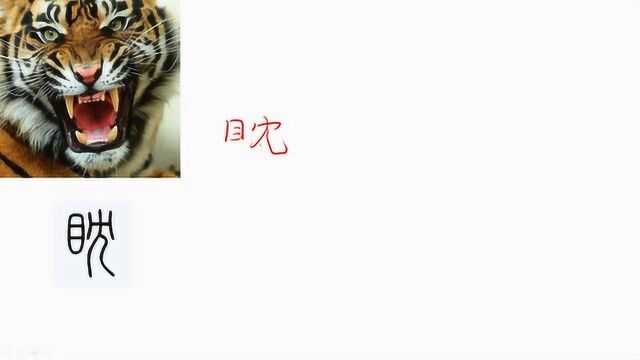 舒阳同学聊汉字86眈