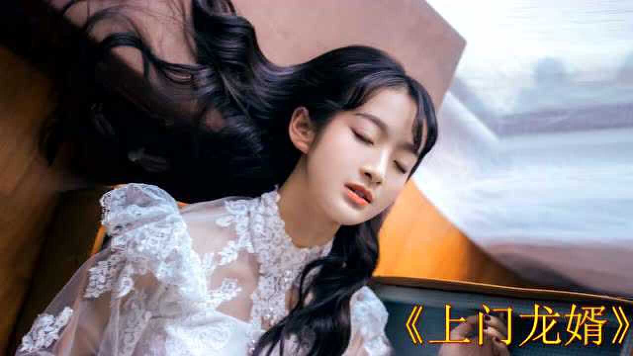 上门龙婿叶辰,在线看全章节