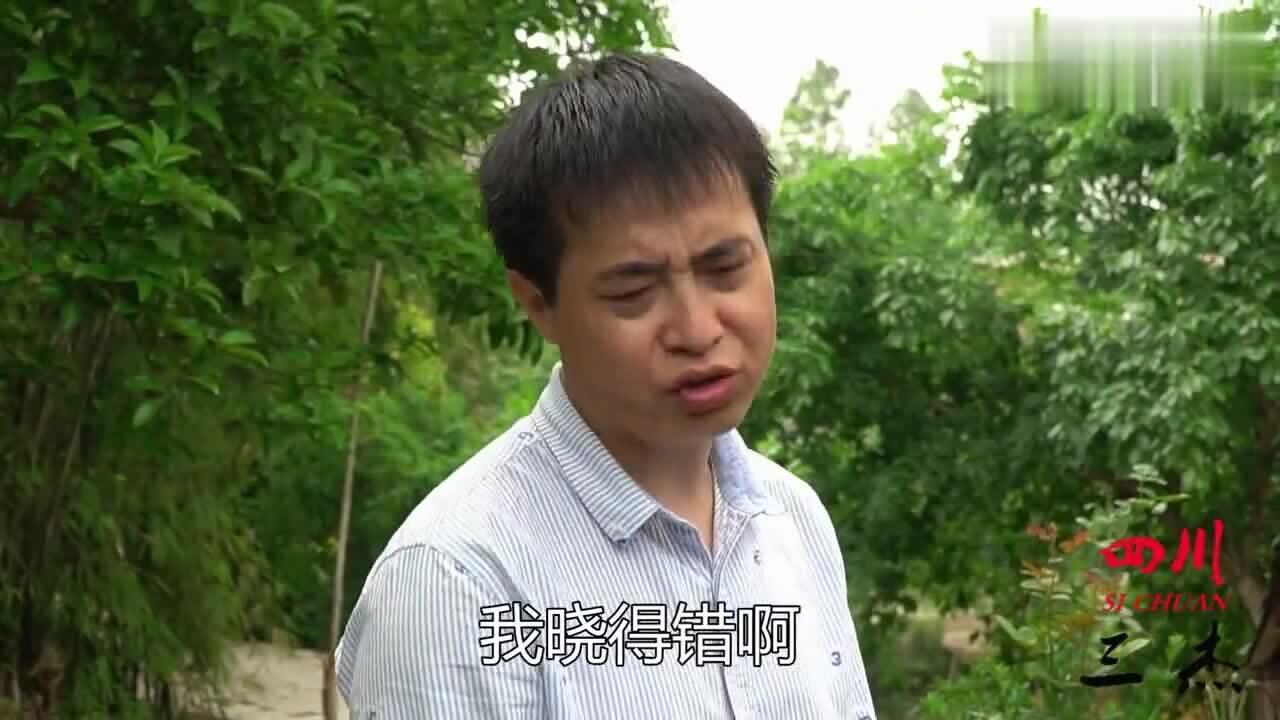四川方言徐二娃被劳动教育都是表妹惹的祸
