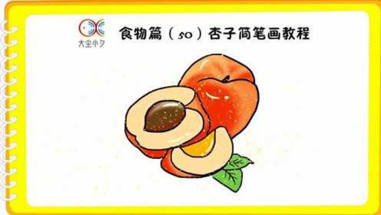 食物篇50杏子简笔画教程