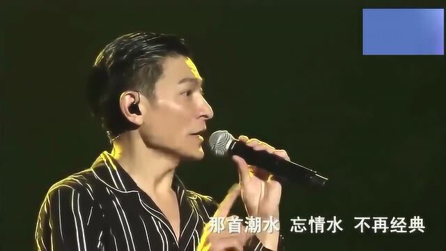 刘德华《十七岁》经典现场版