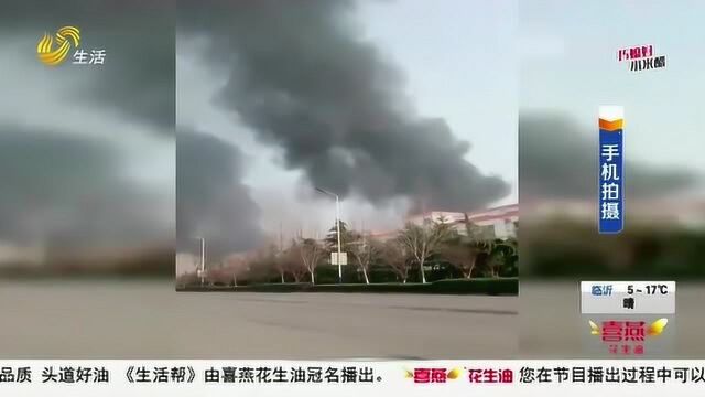 突发!临沂临沭县一环保企业发生火灾 大火已被扑灭 无人员伤亡