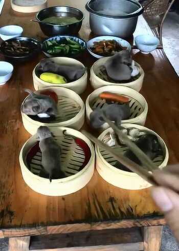 搞笑段子老夫妻,这是一道满狗全席,邀请大家前来品尝