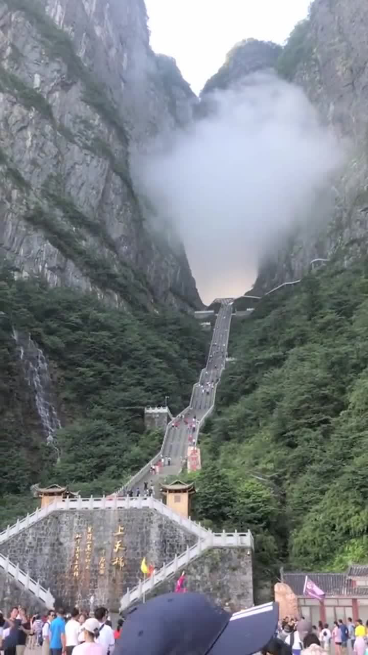 直击张家界天门山,这个天梯太可怕了,普通人站上去腿发软