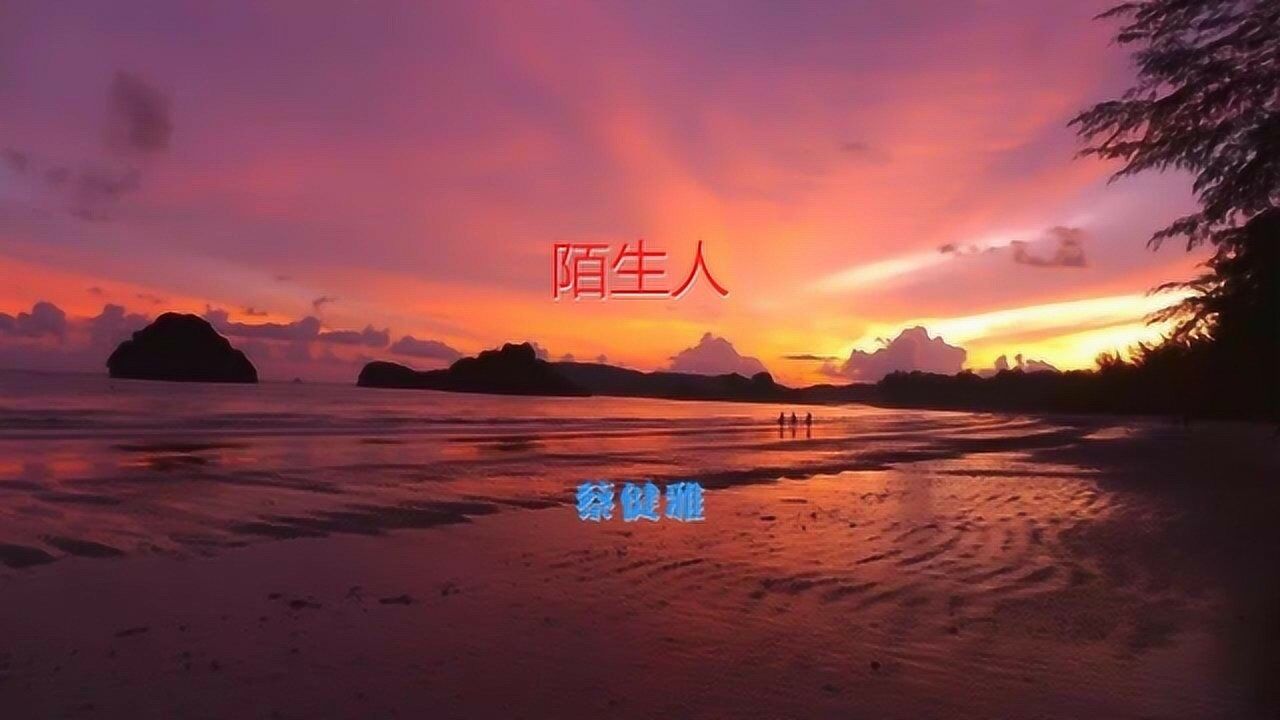 陌生人蔡健雅