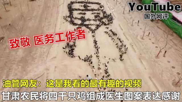 YouTube甘肃农民将四千只鸡组成医生图案表达感谢 引国外网友热议