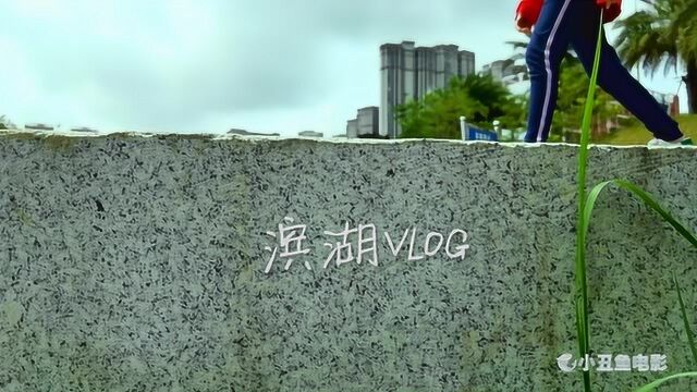 湛江滨湖LVOG