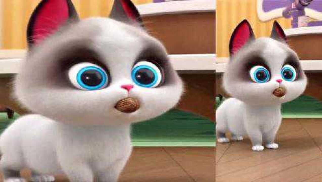 飞狗moco:有的猫为了爱情,豁出去了!_腾讯视频