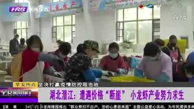 30元一斤跌至4块5!湖北潜江小龙虾遭价格“断崖” 养殖户努力求生