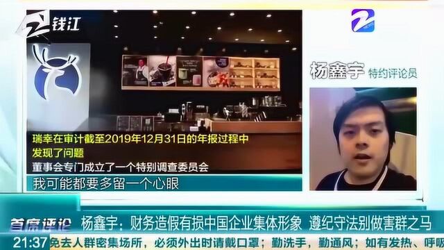 杨鑫宇:财务造假有损中国企业形象 遵纪守法别做害群之马