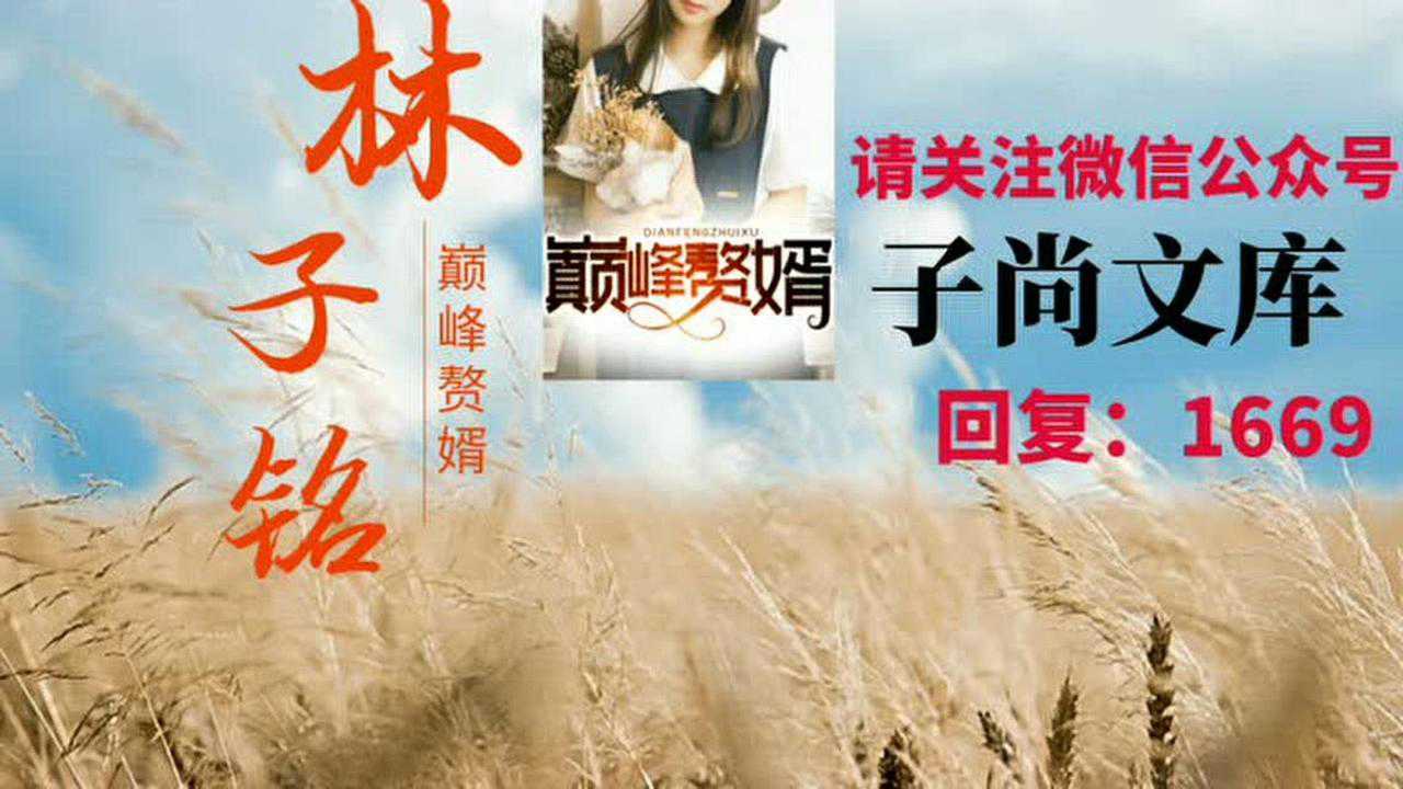 巅峰赘婿林子铭楚菲罩子龙txt下载