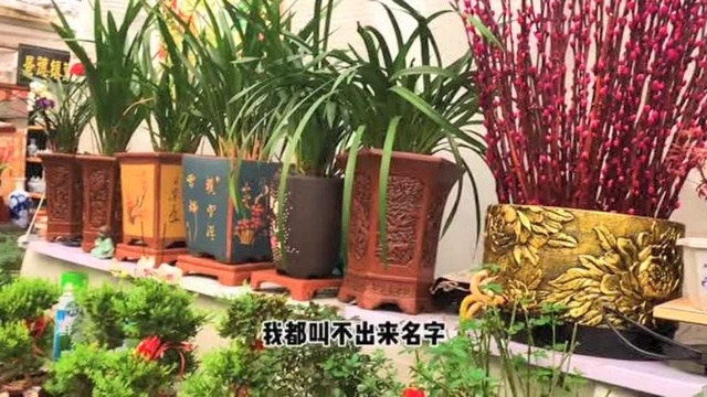 黑龙江疫情境内清零,有序的解封,实拍3月30日大庆花卉市场实况