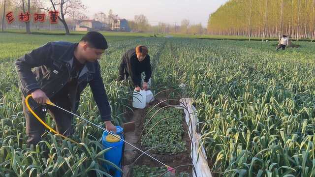 老丈人不在家,女婿帮丈母娘干农活,小舅子却潇洒的溜着玩