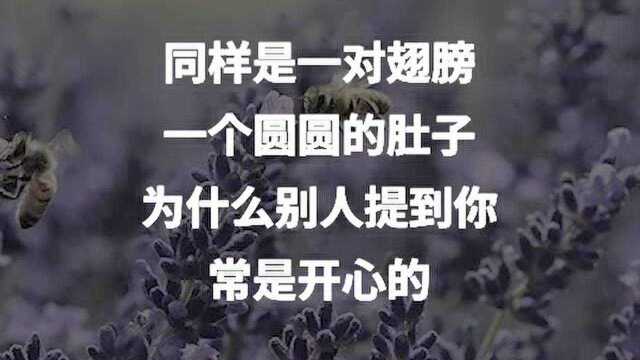 Andy安迪语录创造自己的价值