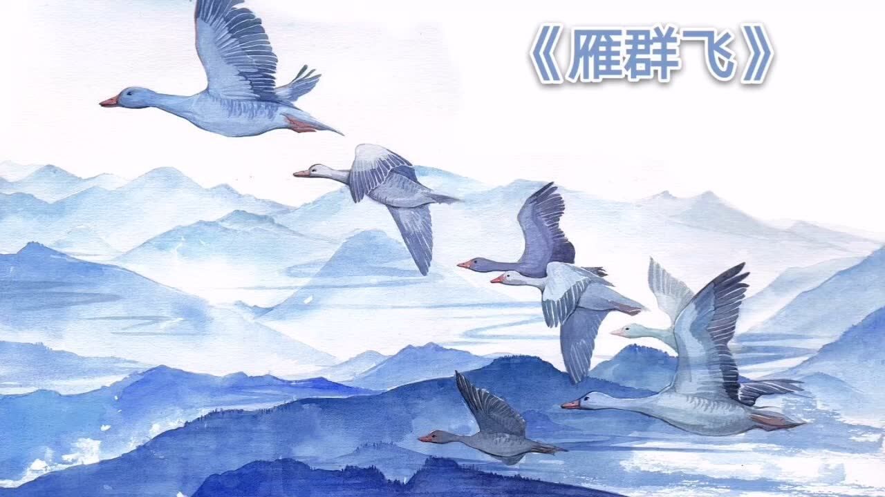 一年级《雁群飞》_高清1080P在线观看平台_腾讯视频