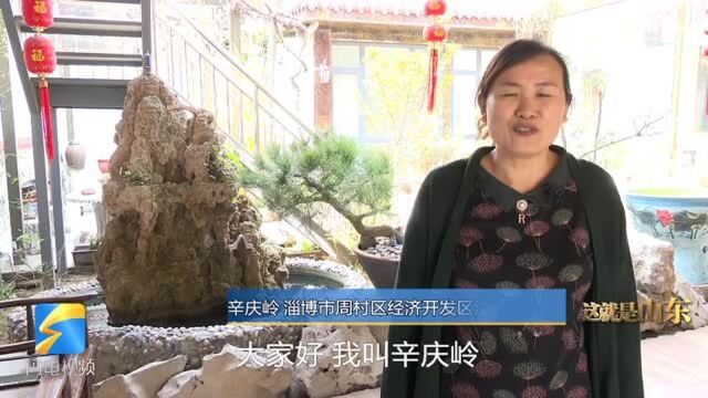 我们的美丽庭院|带你走进淄博周村生机盎然的清心小院 尽赏满园春色