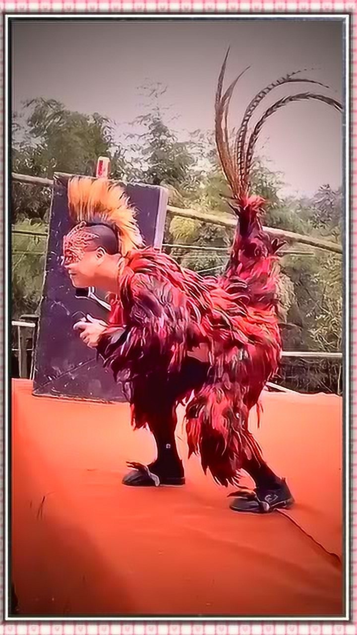 人面鸡身响当当的一只大公鸡知道这是哪里的吗