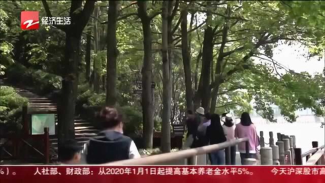 温州桐溪风景区:恢复湖光山色 游客纷至沓来