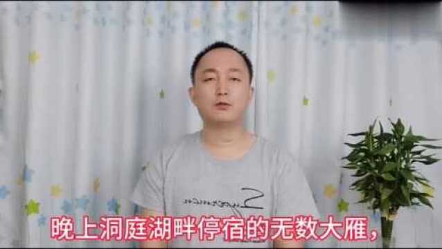 诵读唐代李益的《春夜闻笛》,寒山吹笛唤春归,迁客相看泪满衣