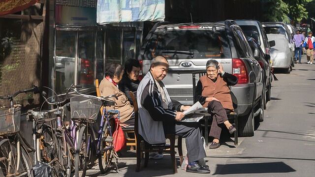 市民阶层像海底生物特敏感 知道何时该生长何时得偃旗息鼓丨十三邀之金宇澄