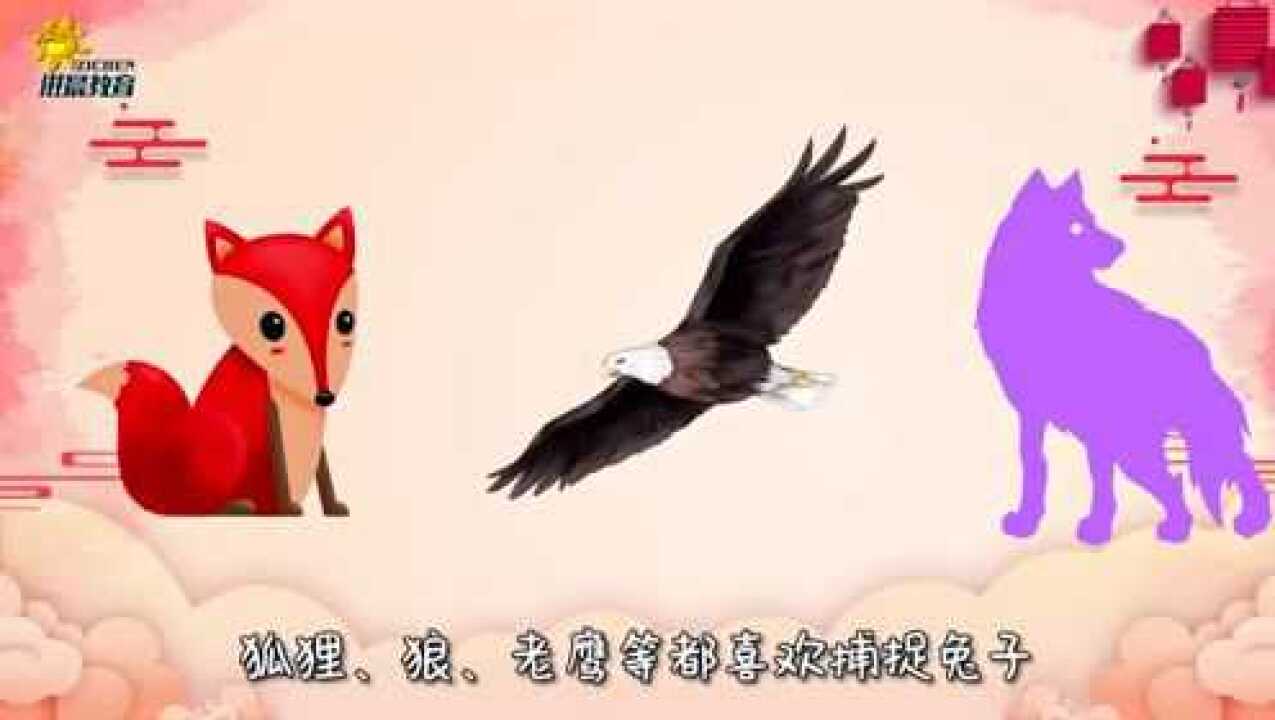 兔字从甲骨文到现代楷书简体的演变过程和趣味小故事_腾讯视频