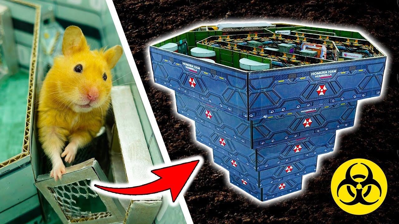 仓鼠大冒险,挑战大迷宫!