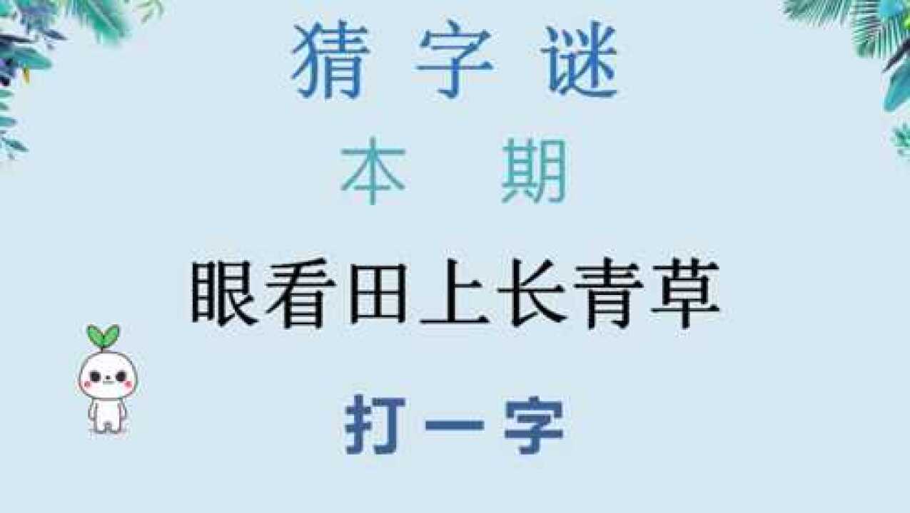 猜字谜眼看田上长青草打一字给你5秒猜得到吗