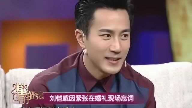 刘恺威回忆和杨幂的婚礼,在巴厘岛只待了一天半,觉得特别遗憾!